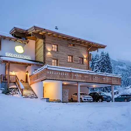 Apartamento Das Kleinarl